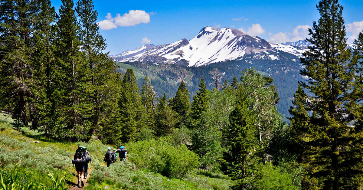 Thunderstruck in the San Bernardino Mountains: A Shocking Adventure Awaits You