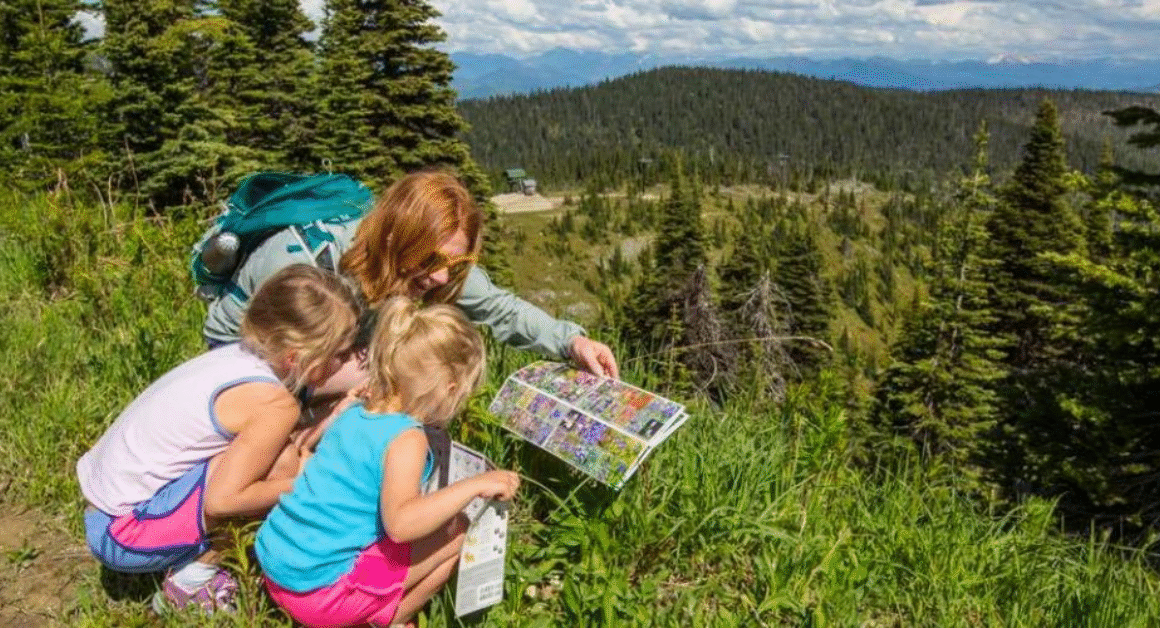 Top Montana Towns to Raise a Family: Safe Communities with Great Schools and Quality of Life