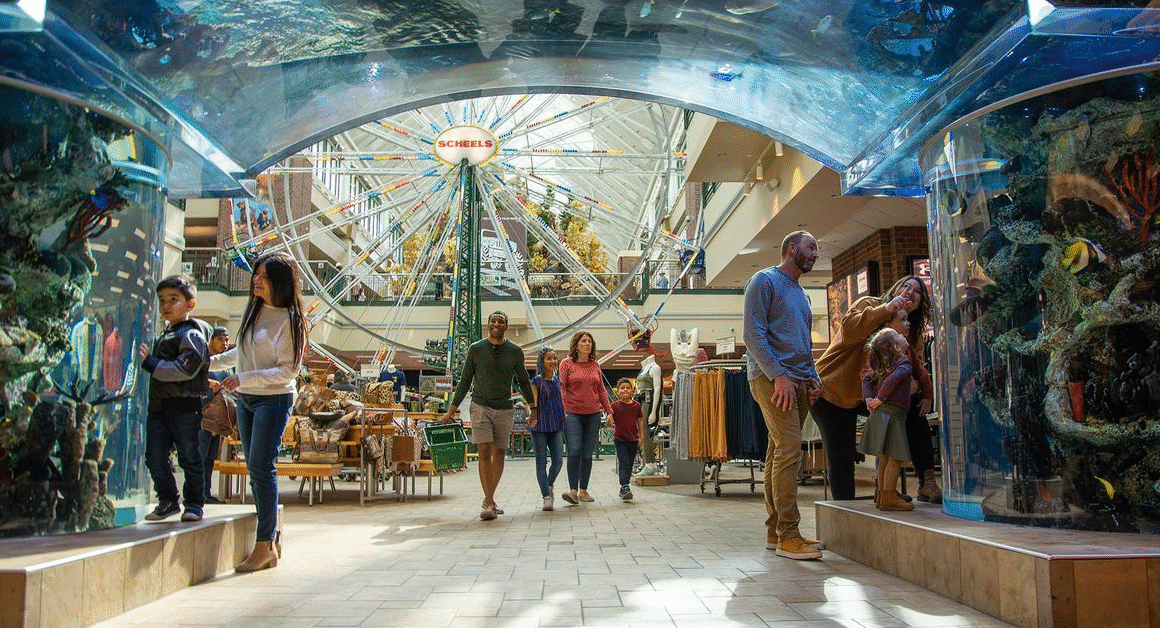Nevada's 10 Best Places to Raise a Family: Safe, Fun, and Full of Opportunities