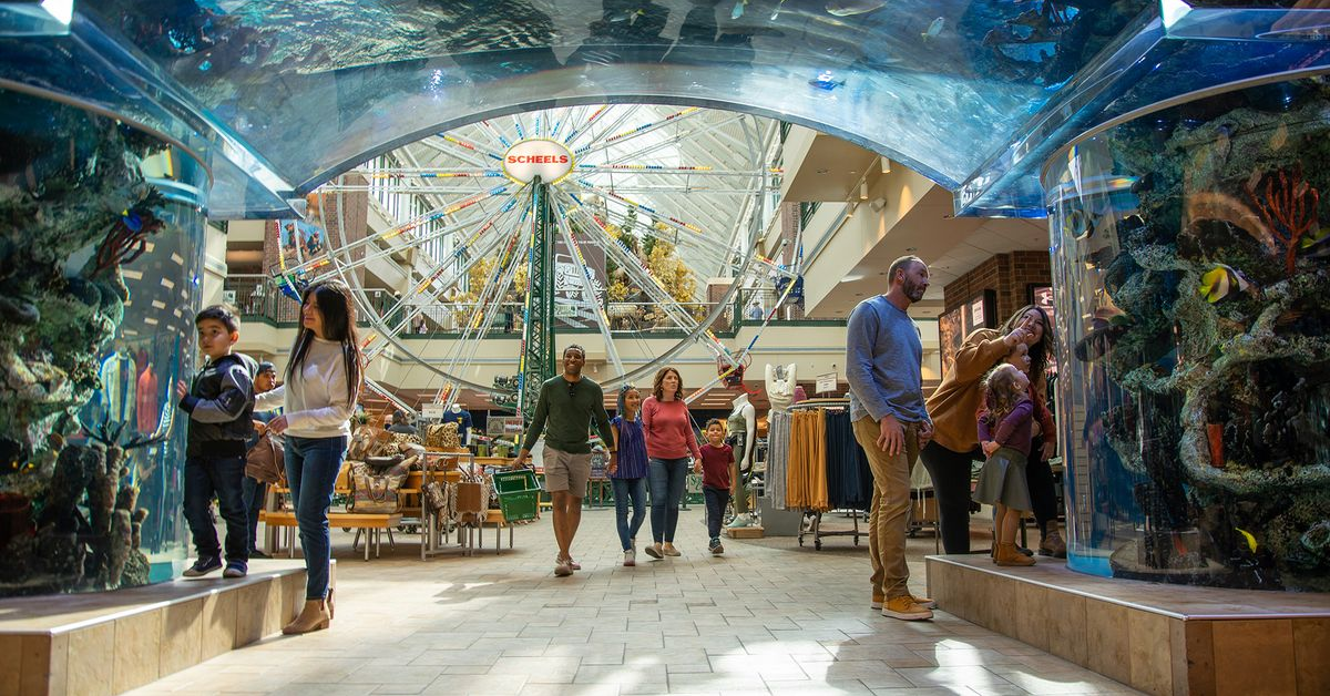 Nevada's 10 Best Places to Raise a Family: Safe, Fun, and Full of Opportunities