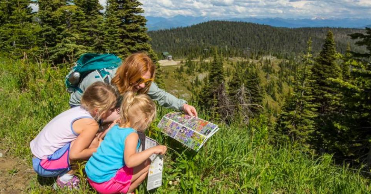 Top Montana Towns to Raise a Family: Safe Communities with Great Schools