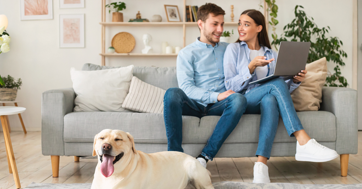 Finding the Best Local Suburbs for Renters with Pets