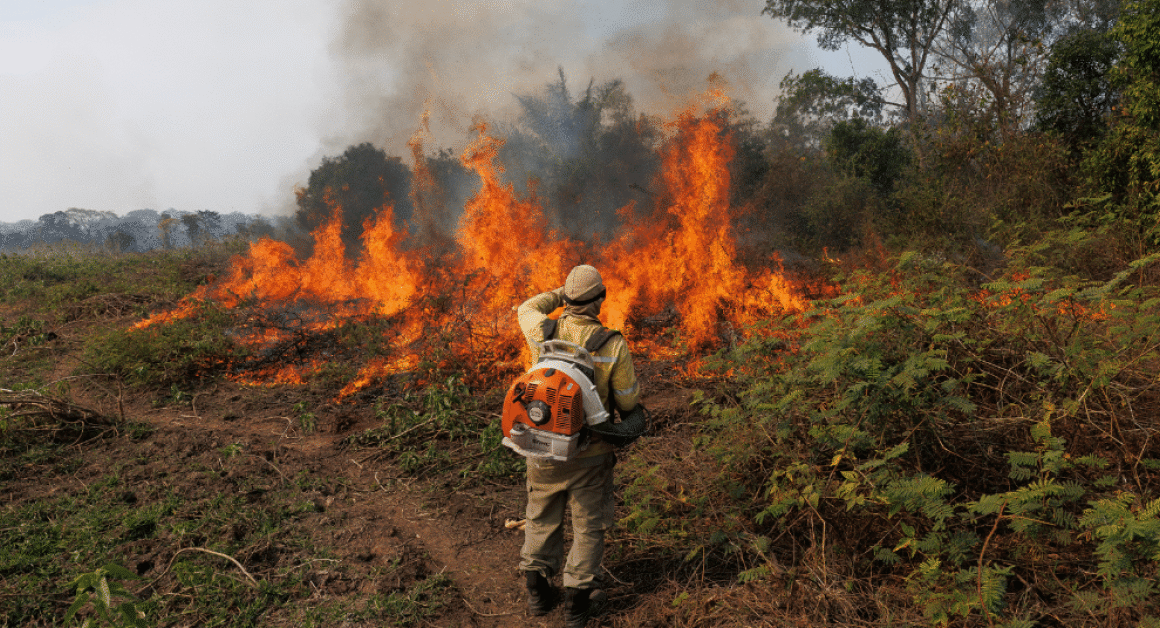 Wildfires Are Worsening Air Pollution: What the UN Weather Body Warns