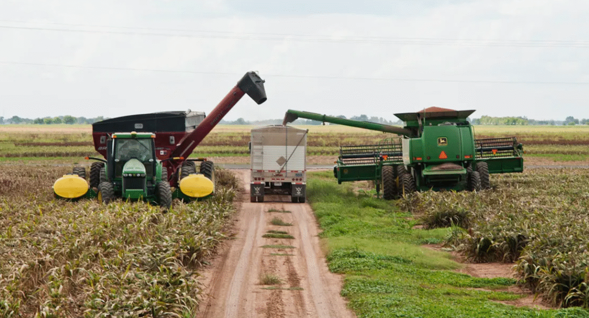 CMS Launches Rural Health Transformation Program Website for Strategic Guidance