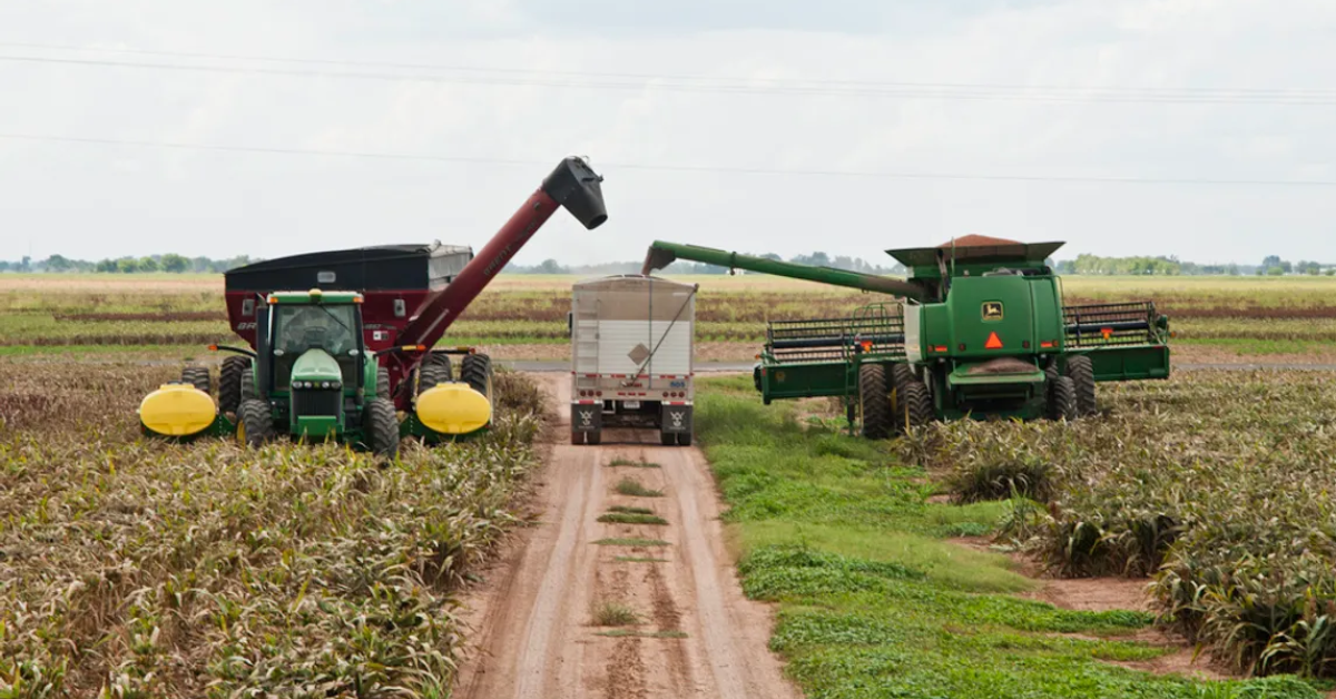 CMS Launches Rural Health Transformation Program Website for Strategic Guidance