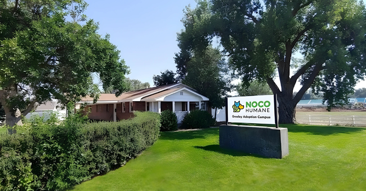 Discover Your New Best Friend: NOCO Humane Launches Exciting New Greeley Campus for Pet Adoptions
